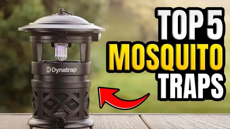 Best Mosquito Traps & Bug Zappers