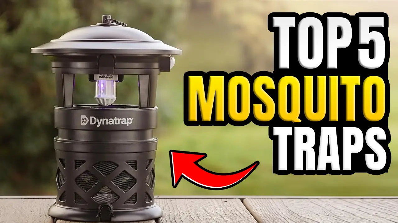 Best Mosquito Traps & Bug Zappers
